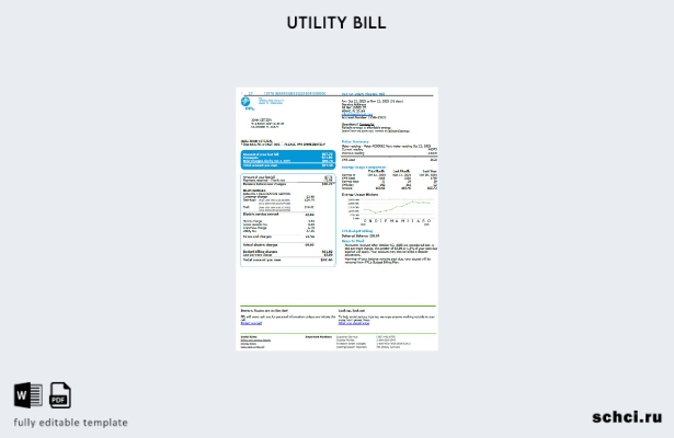 цифровая загрузка шаблона версии счета за коммунальные услуги США FPL 1